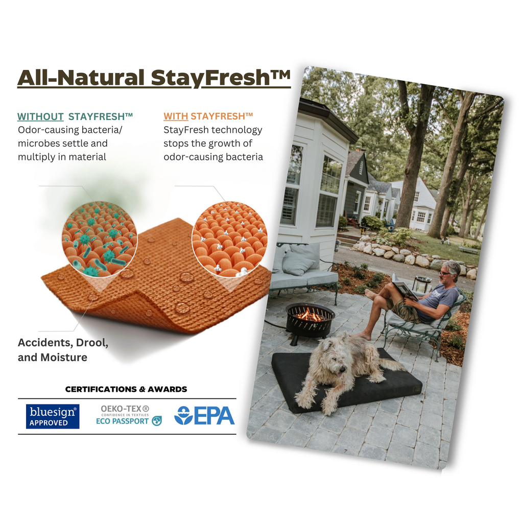 Orthopedic Dog Bed product image 17