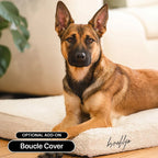 Memory Foam Dog Bed product image 17