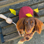 Retractable Dog Leash product image 17