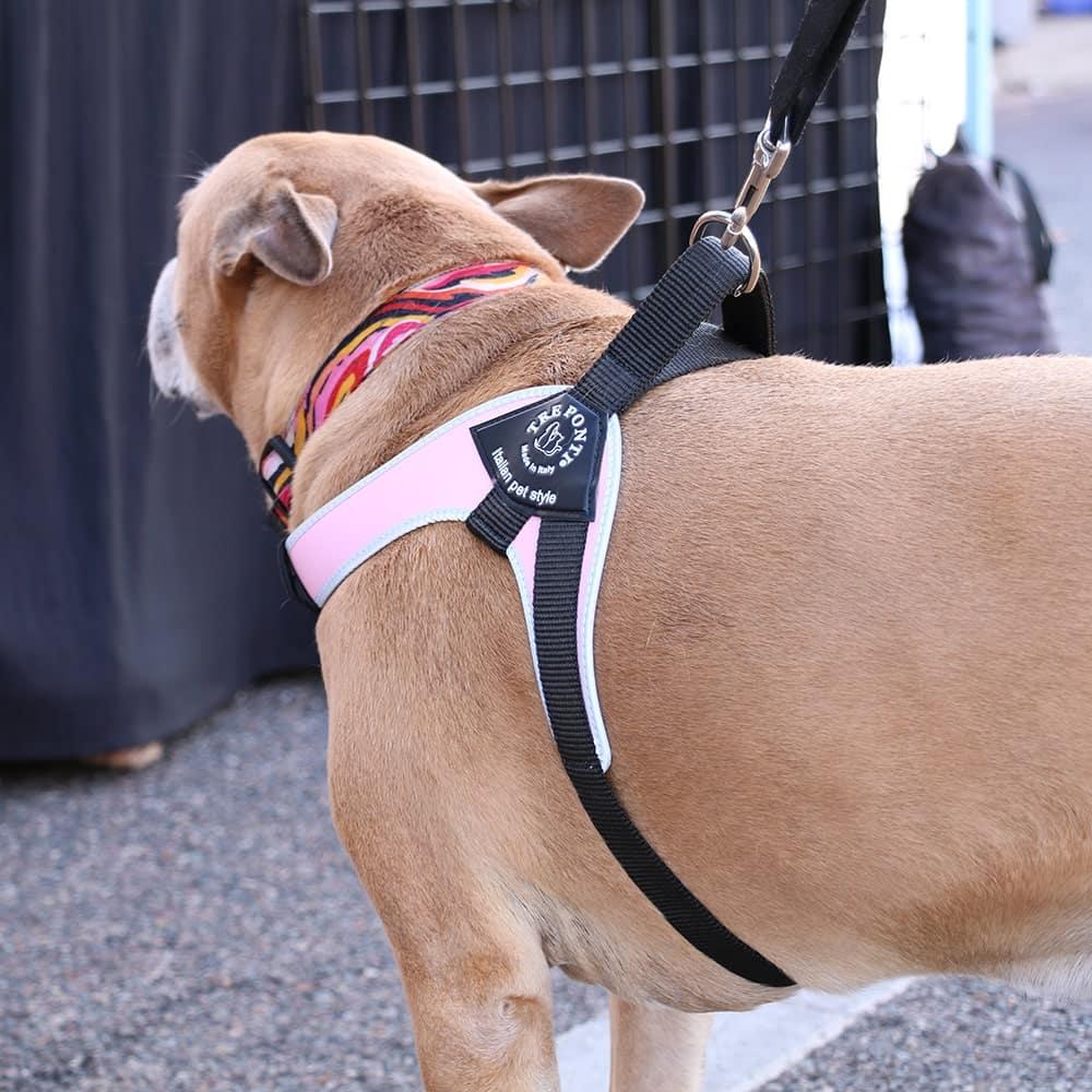 Pet Harness product image 17