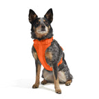 Dog Harness product image 17