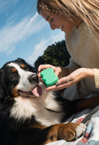 Dog Treat Dispenser product image 17