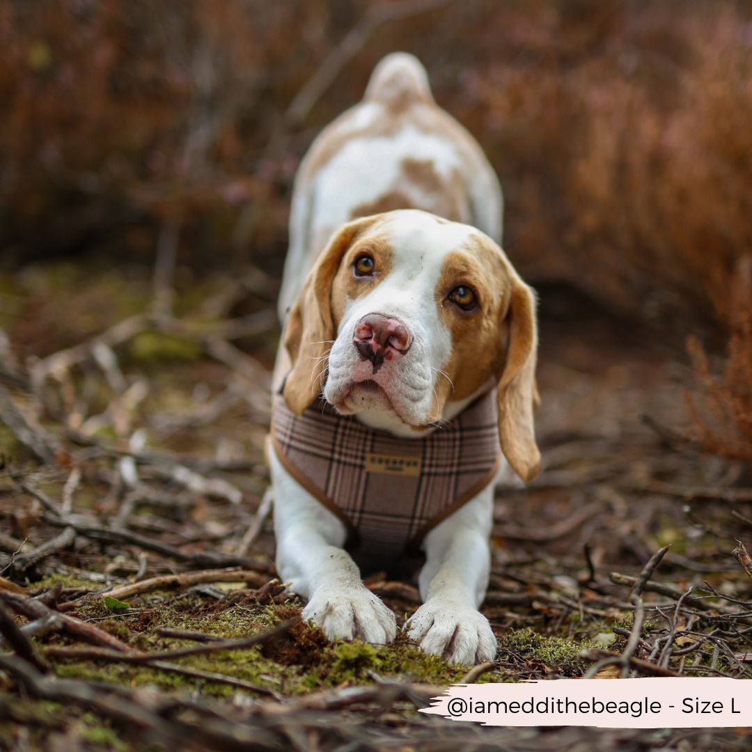 Adjustable Plaid Dog Harness for Comfortable Walks, Lightweight Polyester Design in Five Sizes source image 18