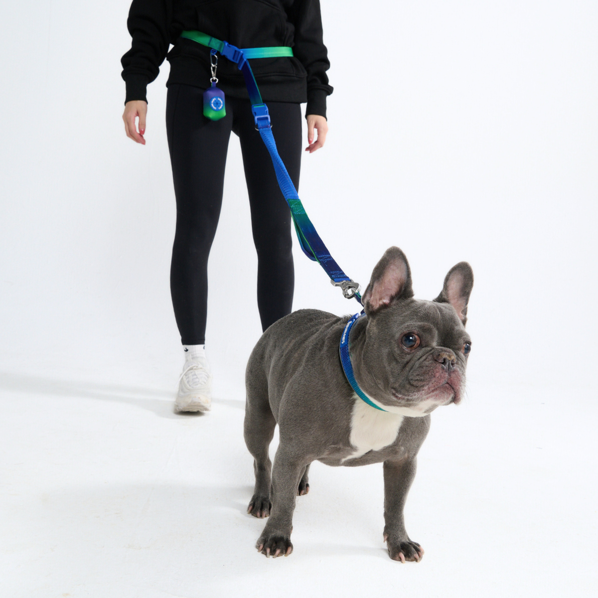 Hands-Free Dog Leash and Waste Bag Holder Set, Bungee Control and Dual Handles for Everyday Walks source image 18