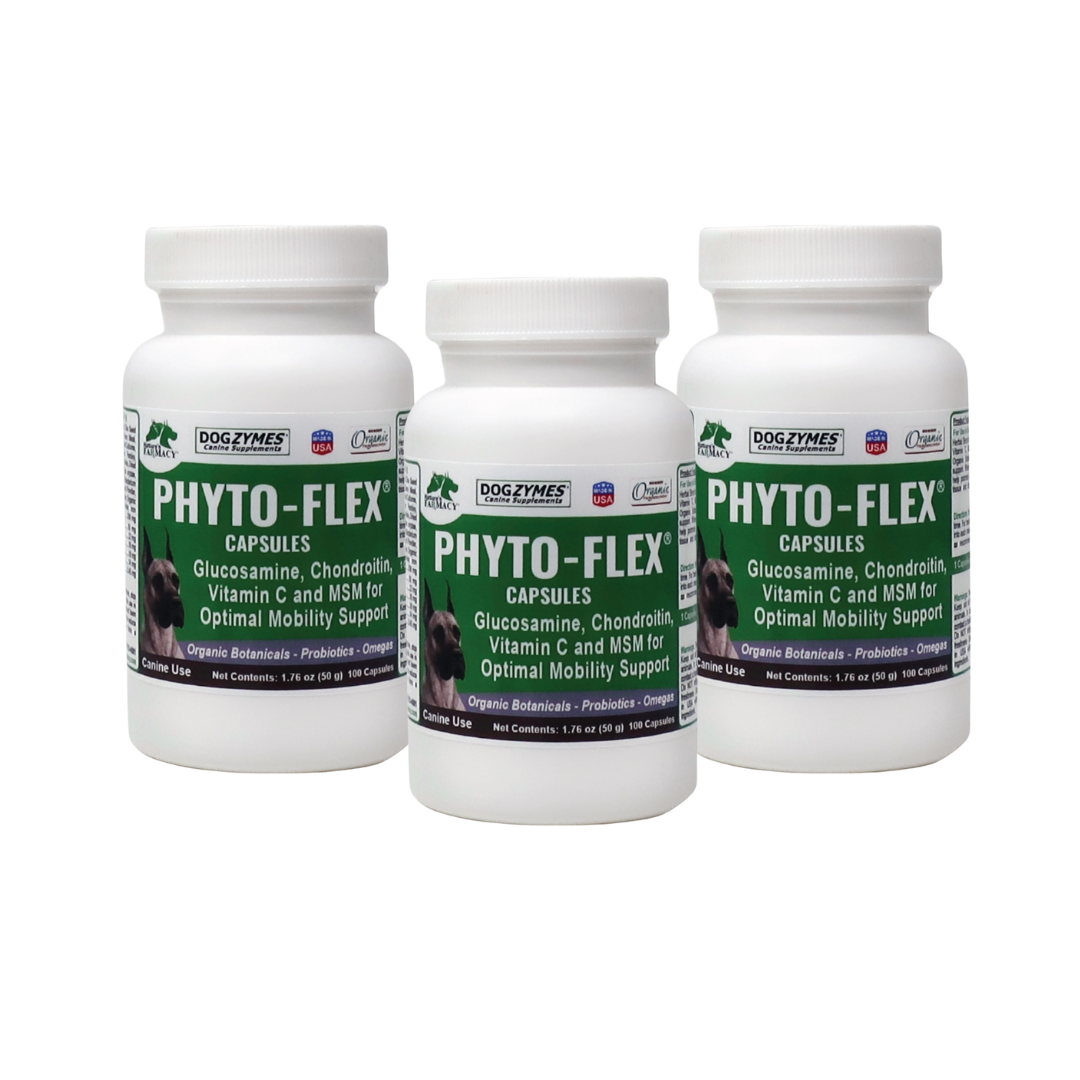 Dog Joint Support Supplement for Daily Mobility, Glucosamine and MSM Powder or Capsule Formats source image 18