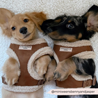 Adjustable Neck Dog Harness, Brown Faux Suede Walking Vest with Soft Fluffy Trim in XXS to Large Sizes source image 18