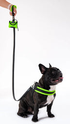 Adjustable Mesh Dog Harness for Small to Medium Pets, Reflective Step-In Design Across Seven Chest Sizes source image 18