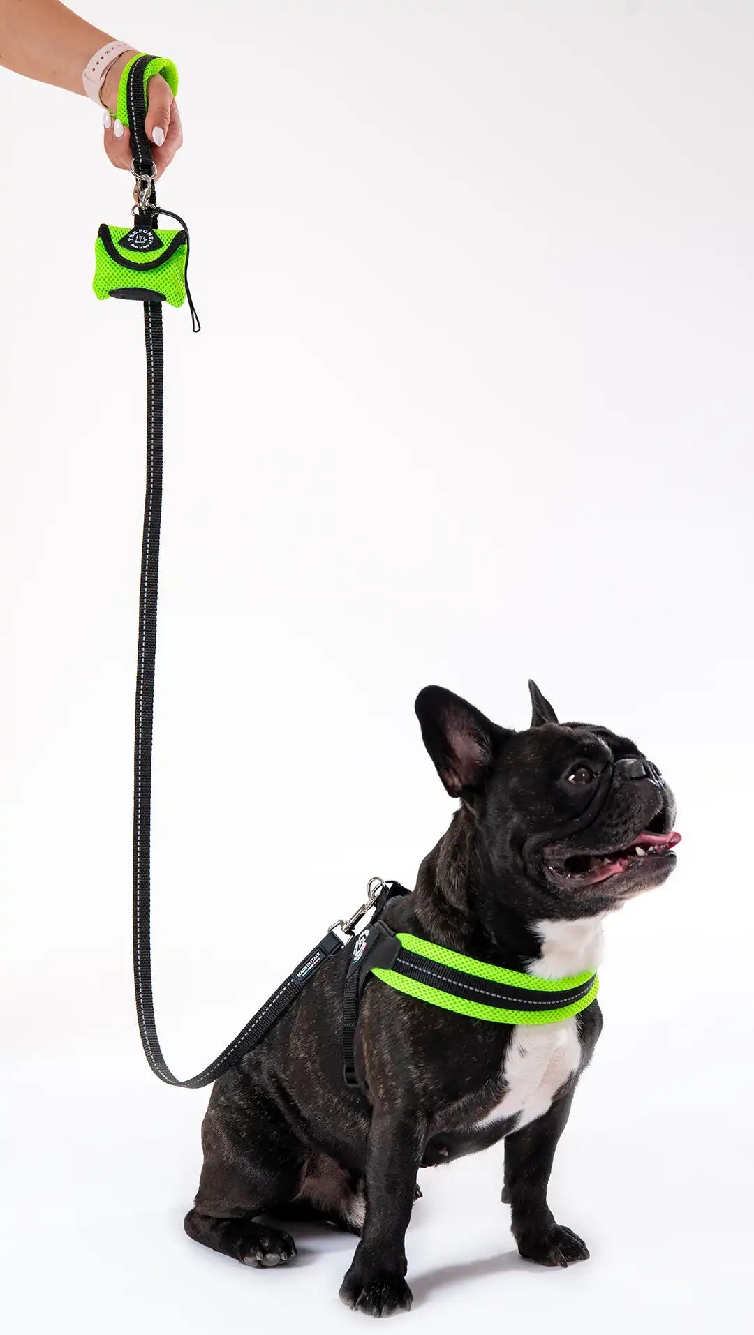 Adjustable Mesh Dog Harness for Small to Medium Pets, Reflective Step-In Design Across Seven Chest Sizes source image 18