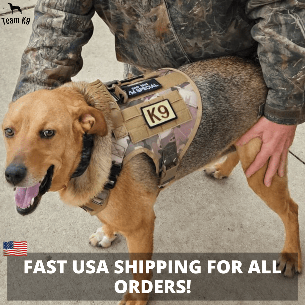 Heavy-Duty Tactical No-Pull Dog Harness with Dual D-Ring Control and Quick-Release Metal Buckles product image 18
