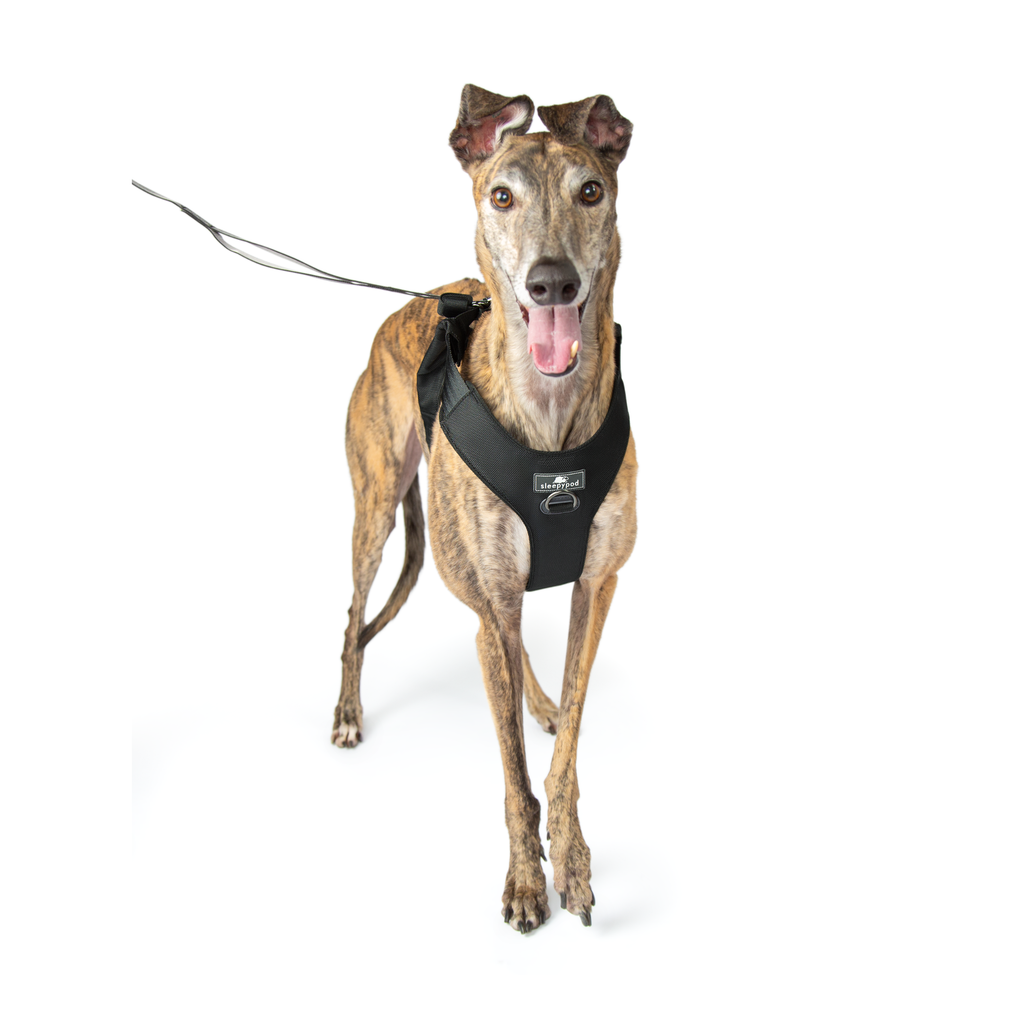 Crash-Tested Dog Car Safety Harness product image 18