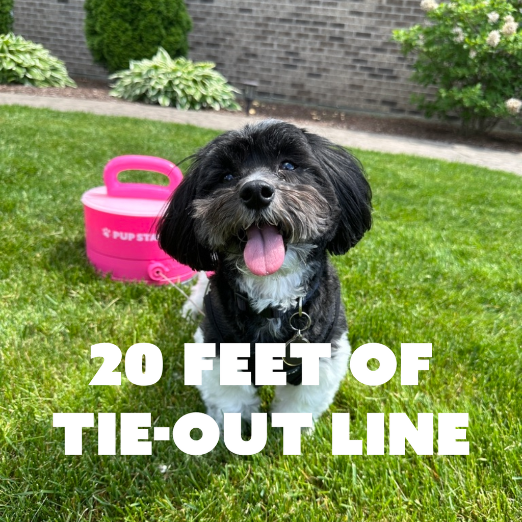 Dog Tie-Out Anchor product image 18