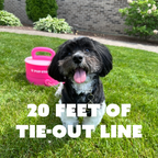 Dog Tie-Out Anchor product image 18
