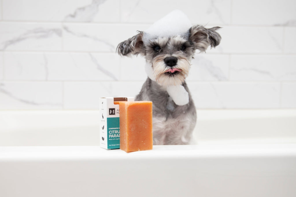 Dog Soap product image 18