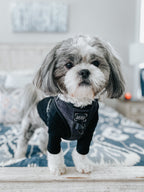 Adjustable Dog Harness product image 18