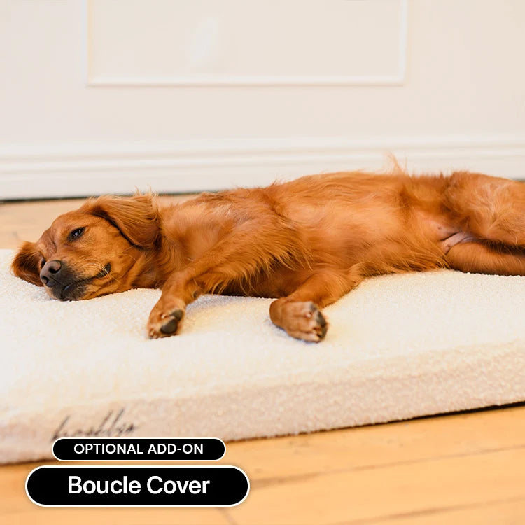 Memory Foam Dog Bed product image 18