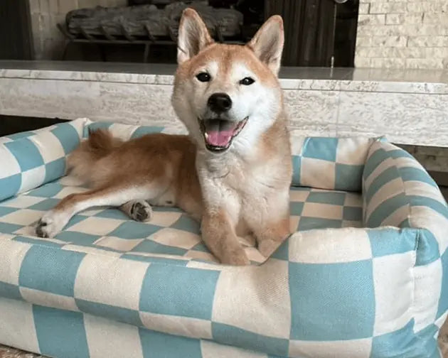 Orthopedic Dog Bed product image 18