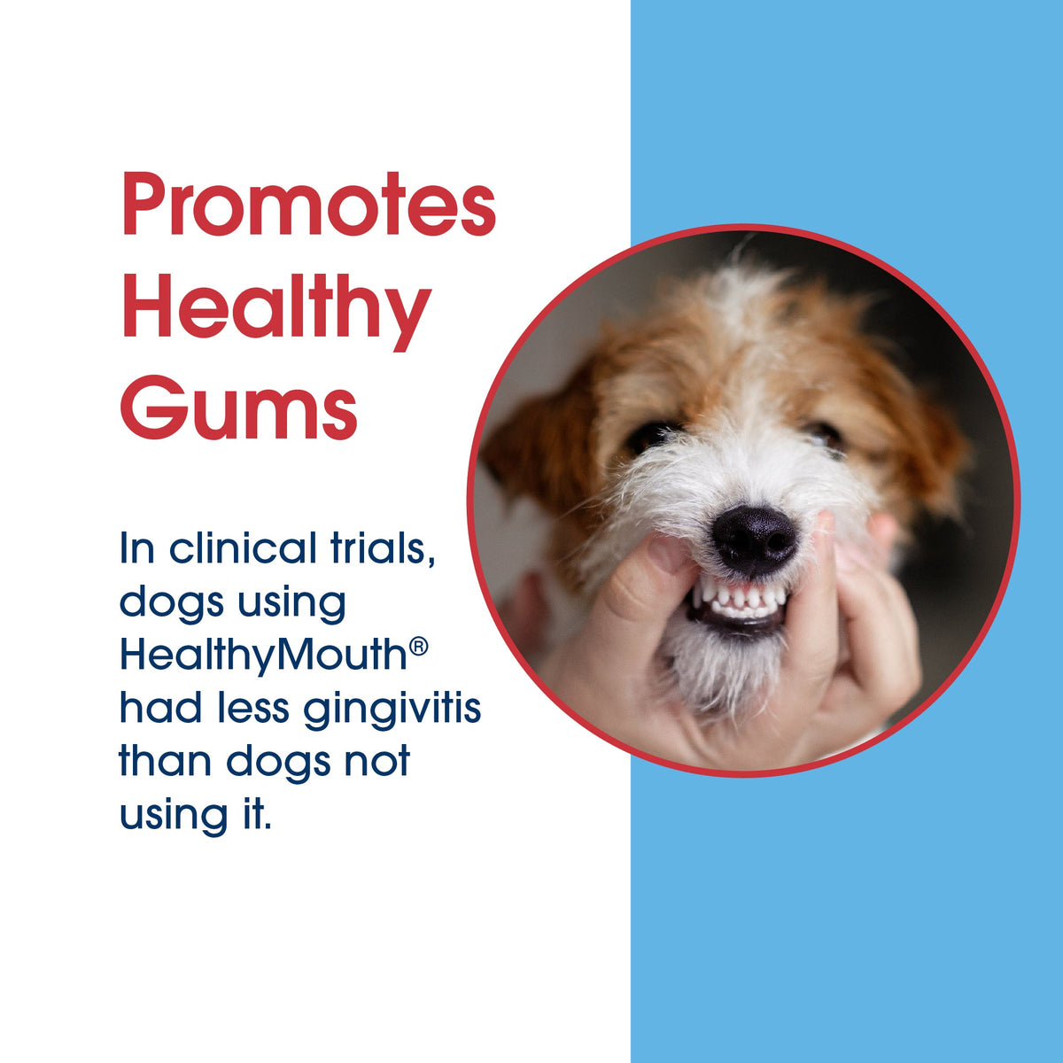Dog Dental Water Additive product image 18