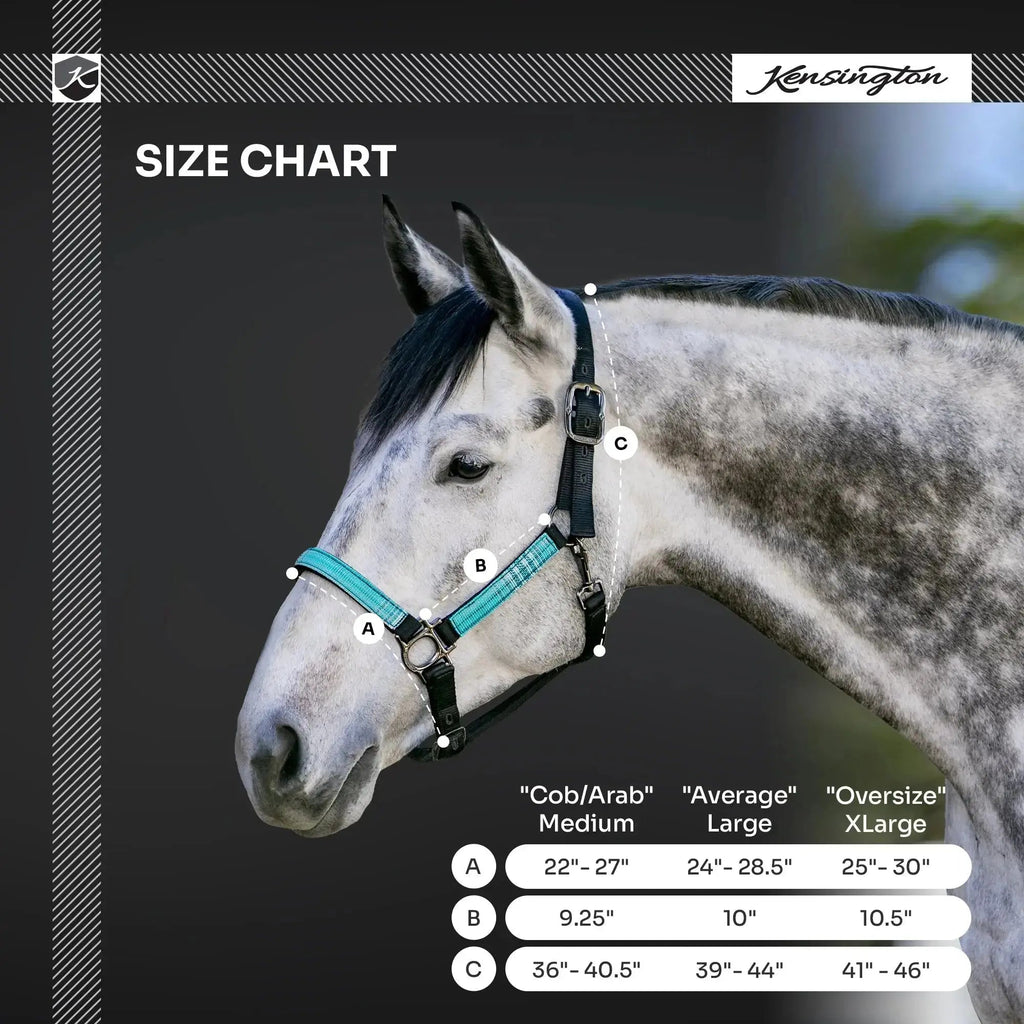 Nylon Horse Halter product image 18