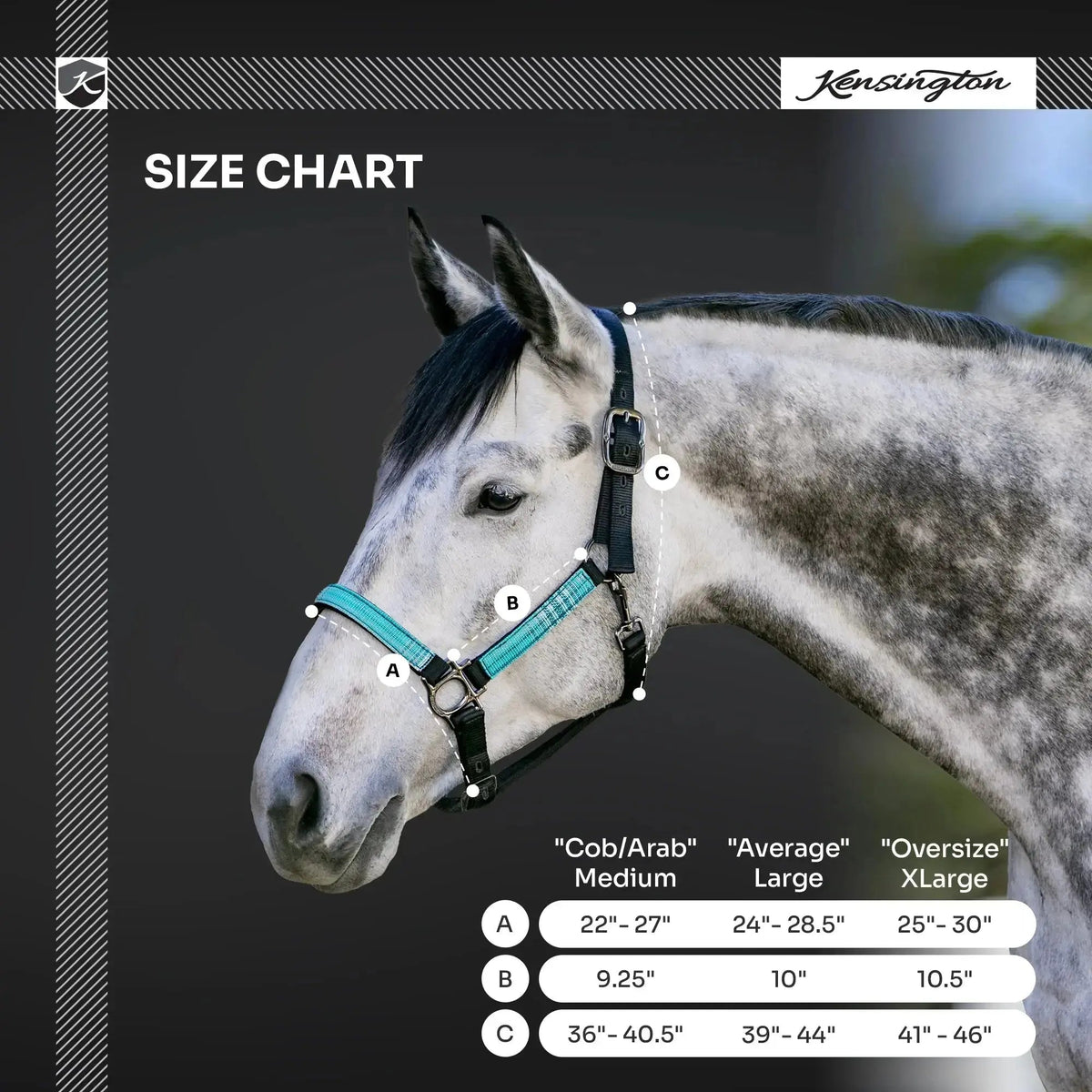 Nylon Horse Halter product image 18