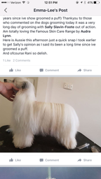 Dog Shampoo Conditioner Set product image 18