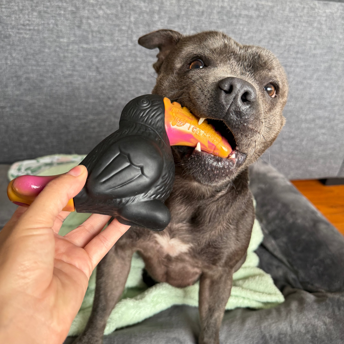 Dog Toy Collection product image 18