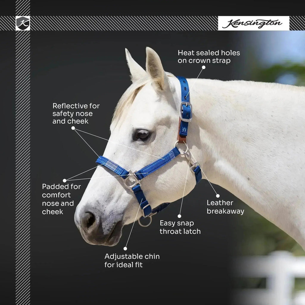 Breakaway Horse Halter product image 18