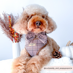 Adjustable Plaid Dog Harness for Comfortable Walks, Lightweight Polyester Design in Five Sizes source image 19