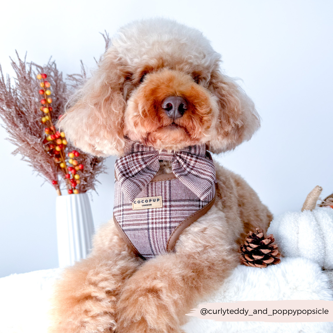Adjustable Plaid Dog Harness for Comfortable Walks, Lightweight Polyester Design in Five Sizes source image 19