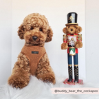 Adjustable Neck Dog Harness in Teddy Texture, Lightweight Walking Vest for XXS to Large Dogs source image 19