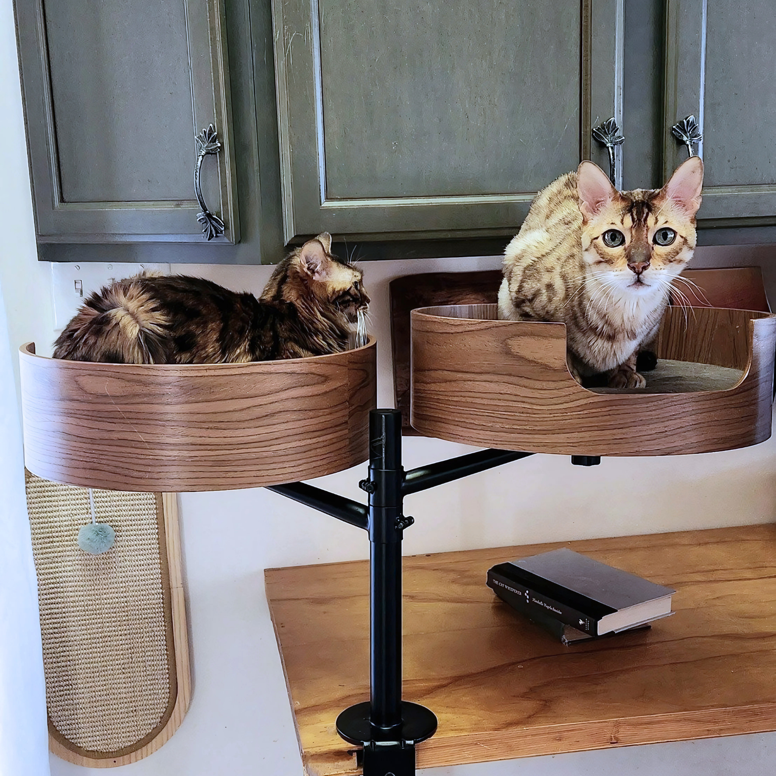 Desk-Mounted Cat Bed for Workspaces, Elevated Single or Double Nest in Walnut and White Oak Finishes source image 19