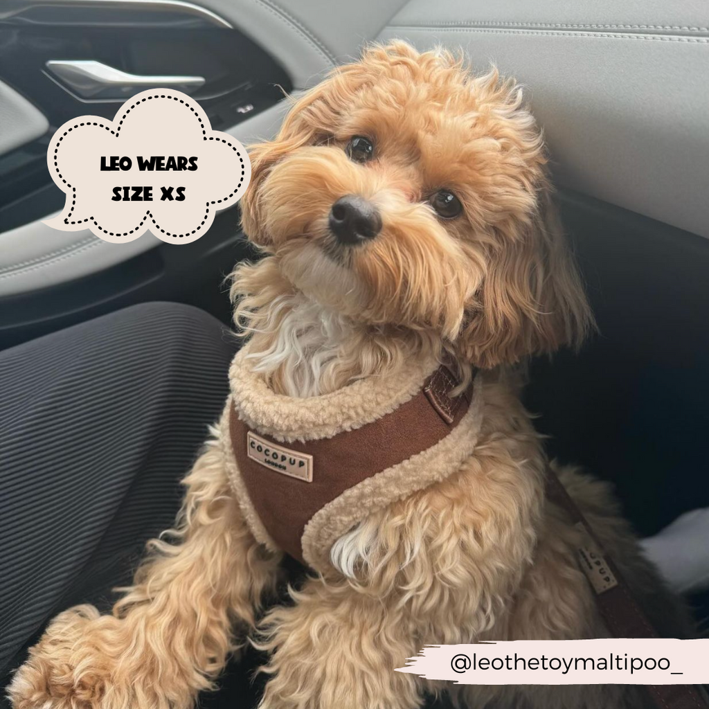 Adjustable Neck Dog Harness, Brown Faux Suede Walking Vest with Soft Fluffy Trim in XXS to Large Sizes source image 19