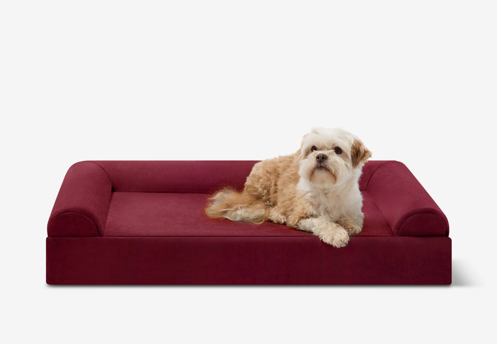 Orthopedic Dog Bed for Small and Medium Dogs, 4-Inch Layered Foam in Headrest and Sofa Styles source image 19