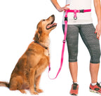 Hands-Free Waist Dog Leash for Walking and Running, Adjustable Length and Quick-Release Hardware source image 19