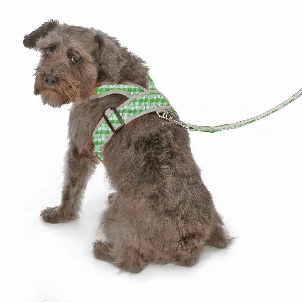Gingham Step-In Dog Harness, Soft Adjustable Mesh Walking Vest in Five Colors for Dogs from 3 to 40 Pounds source image 19
