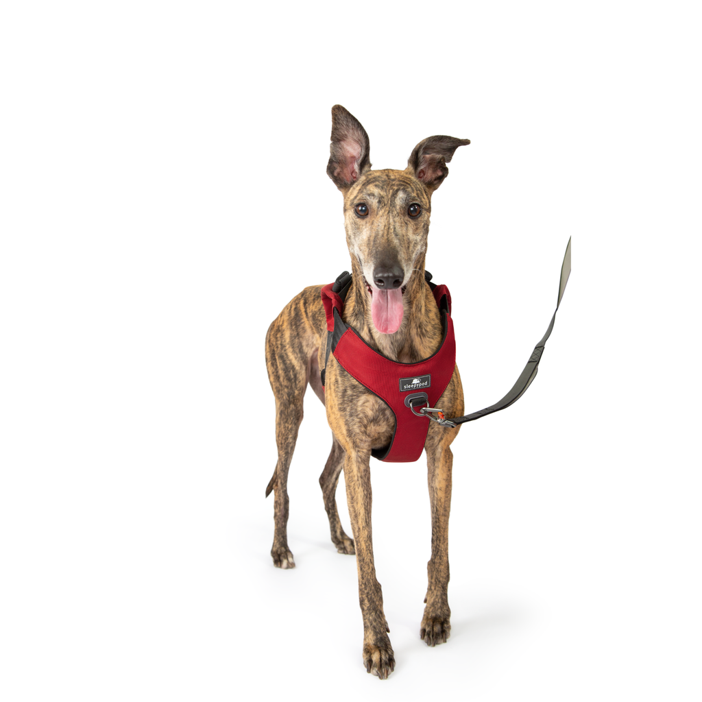 Crash-Tested Dog Car Safety Harness product image 19