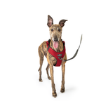 Crash-Tested Dog Car Safety Harness product image 19