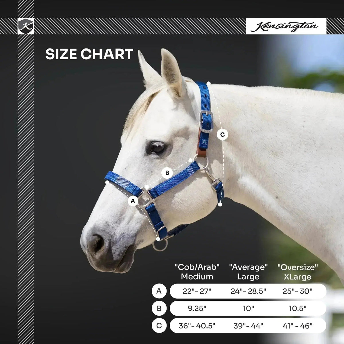 Breakaway Horse Halter product image 19