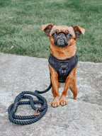 Adjustable Dog Harness product image 19