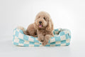 Orthopedic Dog Bed product image 19