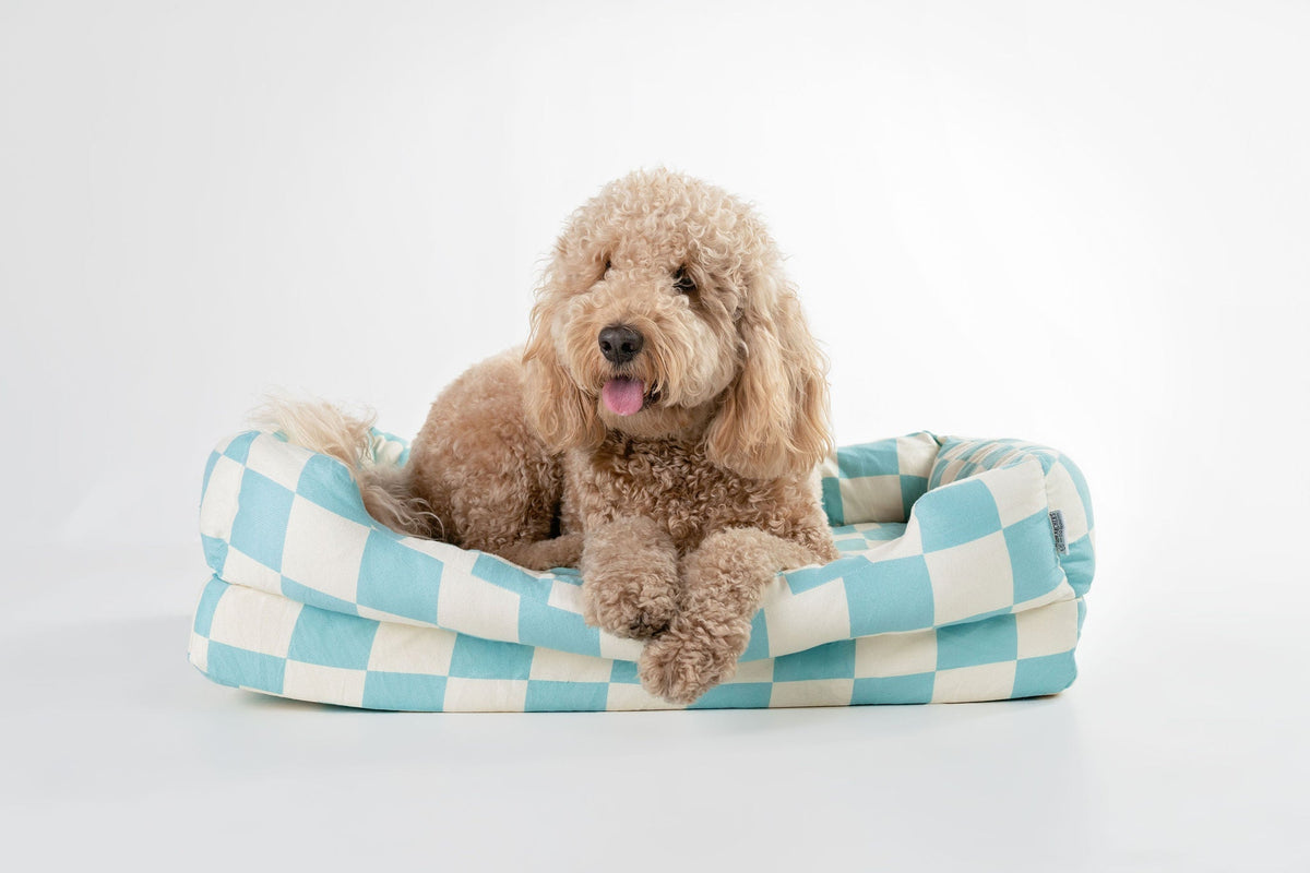 Orthopedic Dog Bed product image 19
