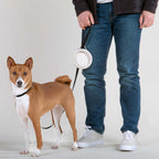Travel Dog Bowl product image 19