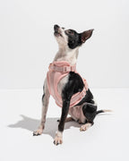Dog Harness product image 19