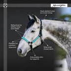 Nylon Horse Halter product image 19