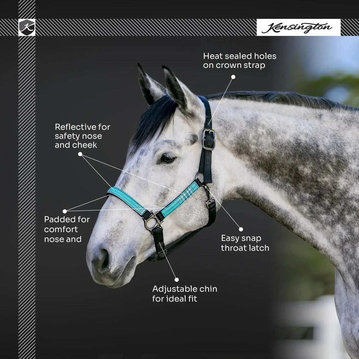 Nylon Horse Halter product image 19