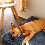 Memory Foam Dog Bed product image 19