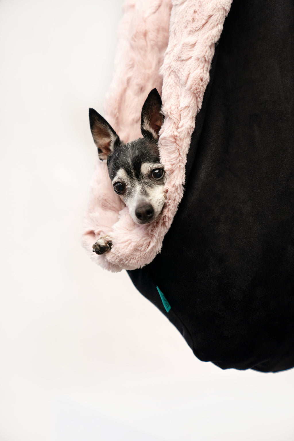 Pet Carrier product image 19