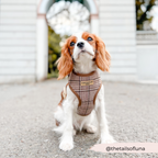 Adjustable Plaid Dog Harness for Comfortable Walks, Lightweight Polyester Design in Five Sizes source image 20