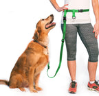 Hands-Free Waist Dog Leash for Walking and Running, Adjustable Length and Quick-Release Hardware source image 20