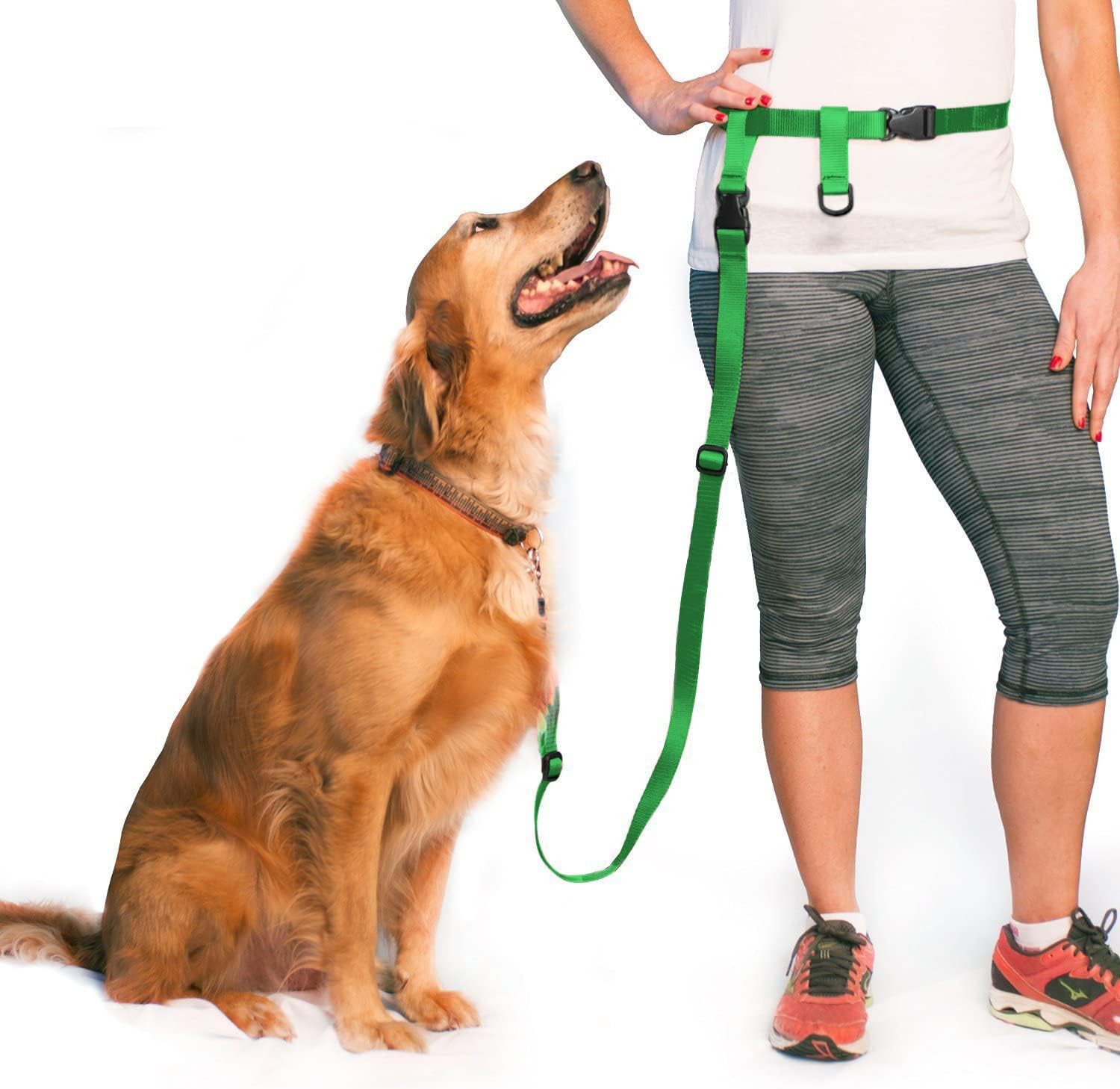 Hands-Free Waist Dog Leash for Walking and Running, Adjustable Length and Quick-Release Hardware source image 20