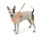 Gingham Step-In Dog Harness, Soft Adjustable Mesh Walking Vest in Five Colors for Dogs from 3 to 40 Pounds source image 20